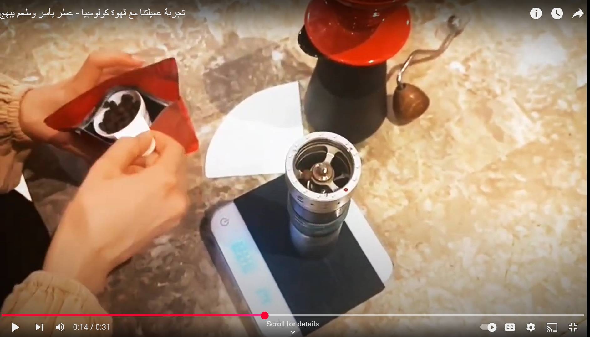 Video Preview